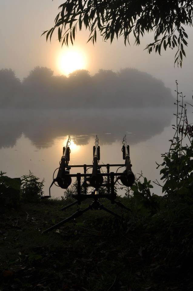 ::::::::LIKE:::::::: - 995689542774525758320849890621n.jpg